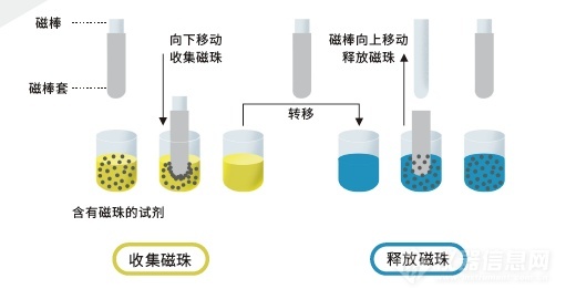 全自动化核酸提取仪原理